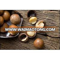 Quatlity Macadamia Nuts