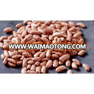 Whole Pinto Beans In Stock