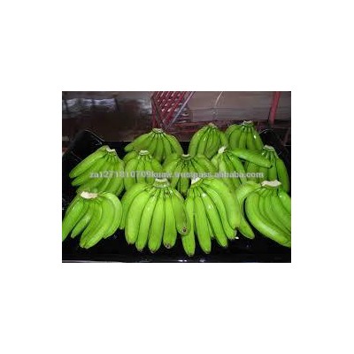 Best Price Quality Fresh Green Cavendish Banana