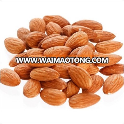 First Quality Almond Nuts