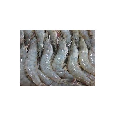 Fresh Frozen Vannamei Shrimps , Headless Vannamei Shrimps ,Prawns,Peeled Cooked Frozen Vannamei Shrimps