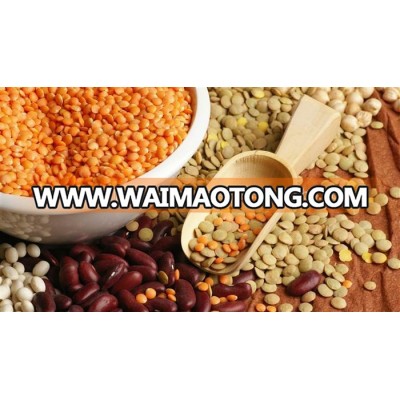 Quality Red Lentils Whole & Split Lentils