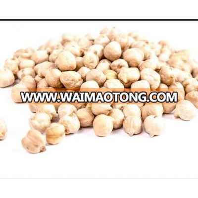 Chickpeas Bulk Wholesale