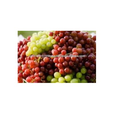 Seedless Fresh Lemon Fruits , Fresh Citrus Fruits , Seedless Limes Fruits , Fresh Black Grapes ,Fresh Grapes ,Eureka Lemon Fruit