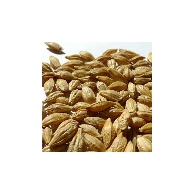 100% Organic Barley,Hulled Feed Barley Grains , Barley for Animal feed , Barley Grains , Hulled Barley , Malt Barley For Malt ,