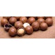 Quality Grade A macadamia nuts for sale