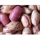 Light Speckled Sugar beans (LSKB) Pinto beans /Black/Red Kidney beans