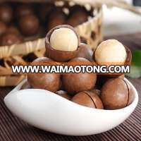 macadamia nut in shell