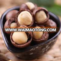 organic shelled salted macadamia nuts roasted macadamia