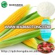 white maize non gmo corn starch in bulk food grade